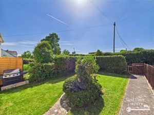 Front Garden- click for photo gallery